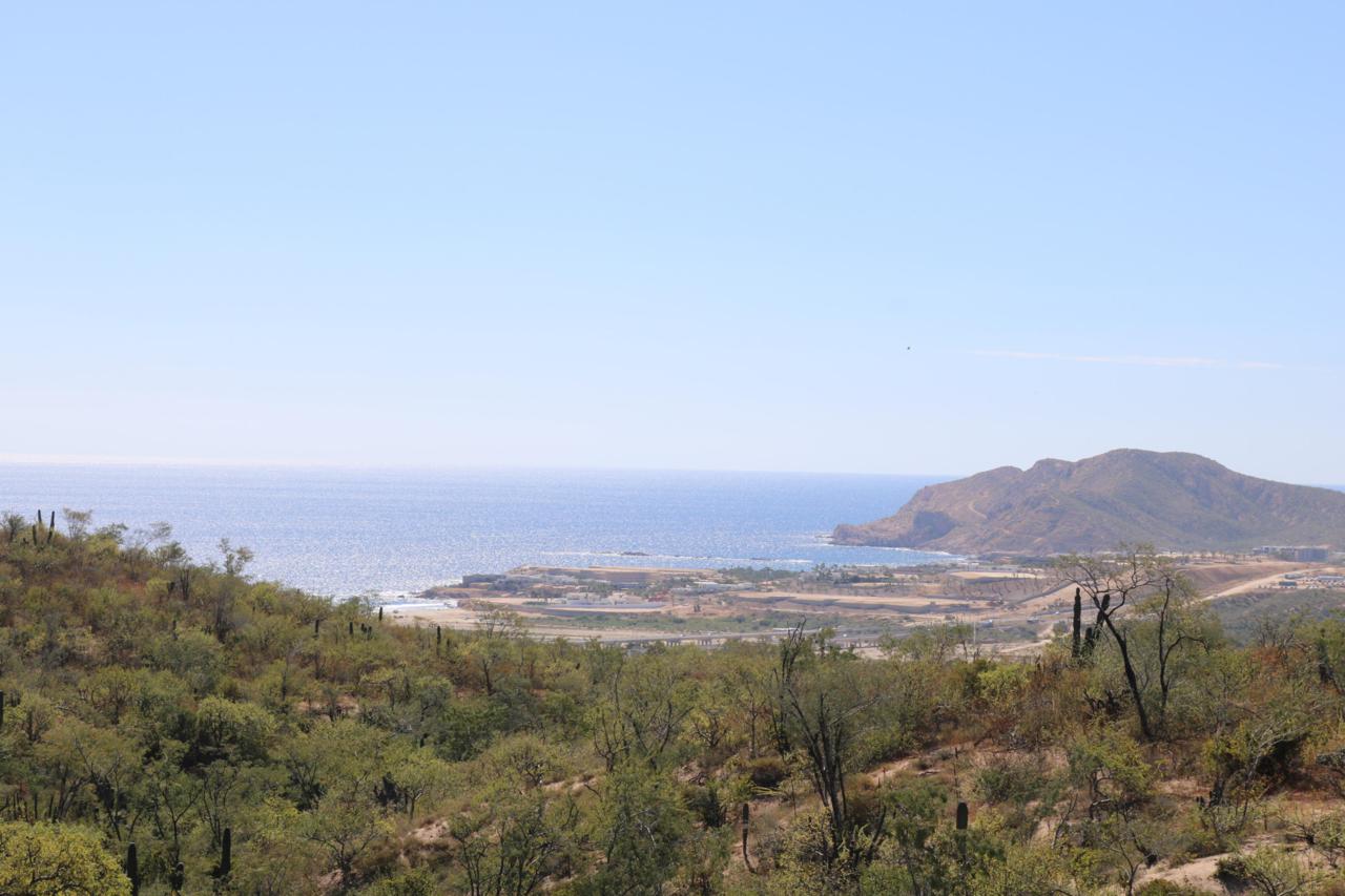 Altos Del Tule - Photo 1