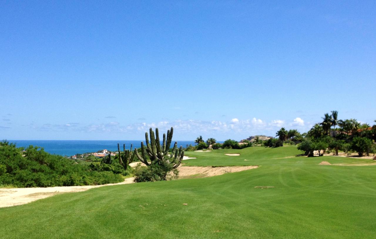 Palmilla Estates - Photo 1