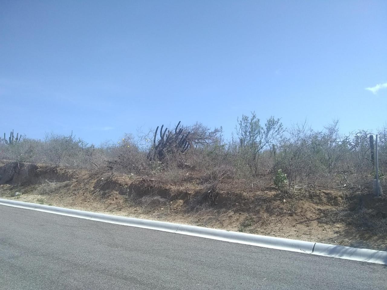 Elberto - Photo 1