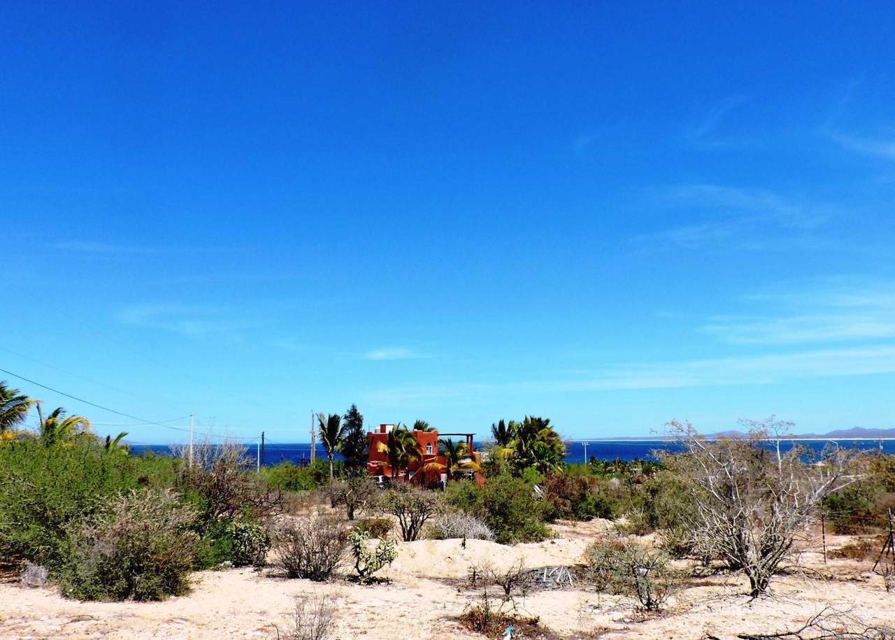 Isla Guadalupe - Photo 1