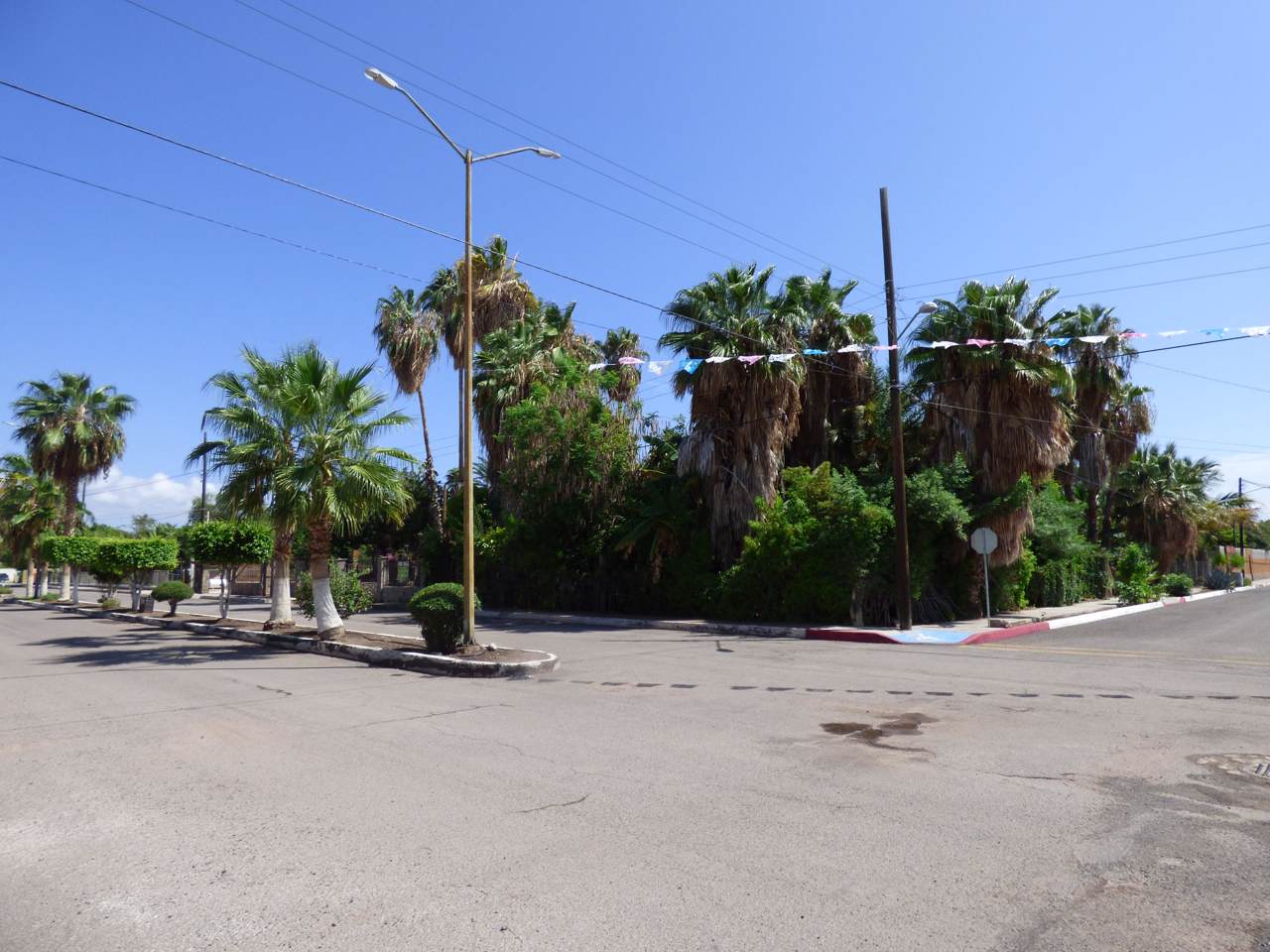 Calle Antonio Mijares - Photo 1