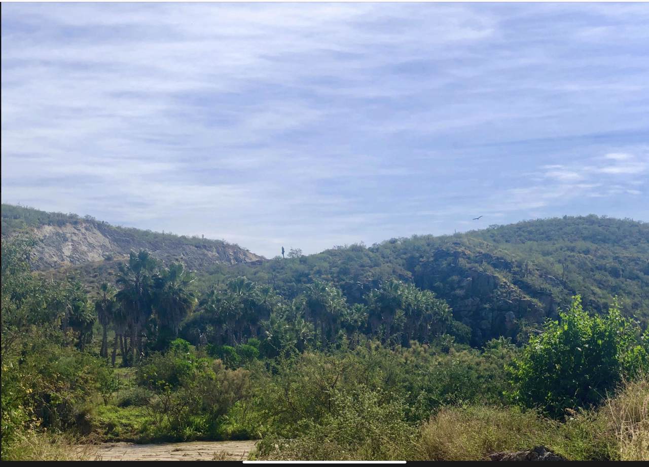 Carretera La Paz - Photo 1