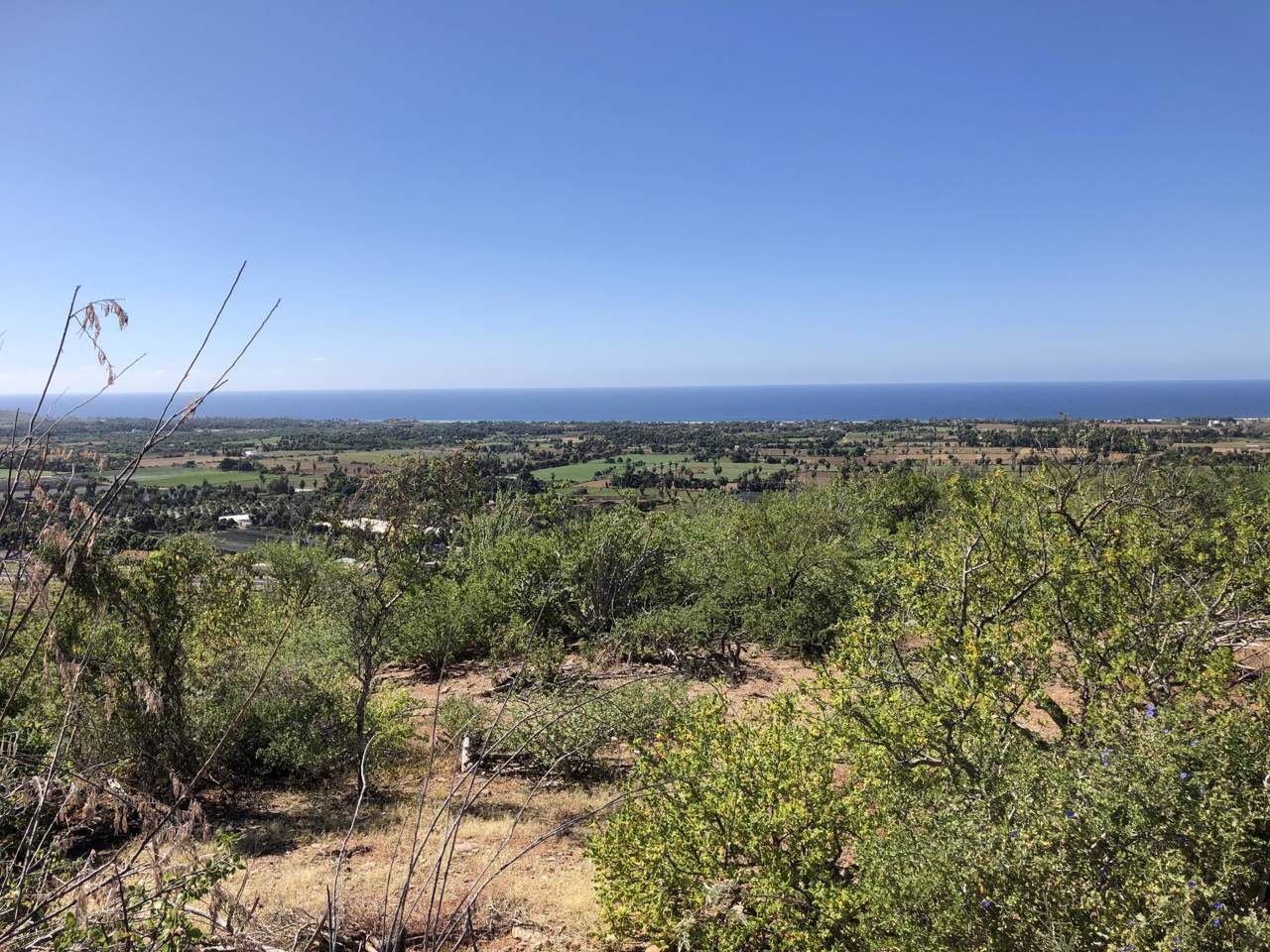 8 Mirador - Photo 1