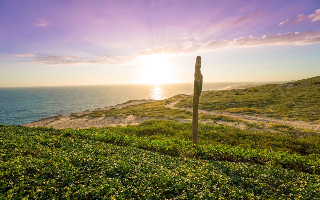 Quivira Los Cabos - Mavila - Photo 1