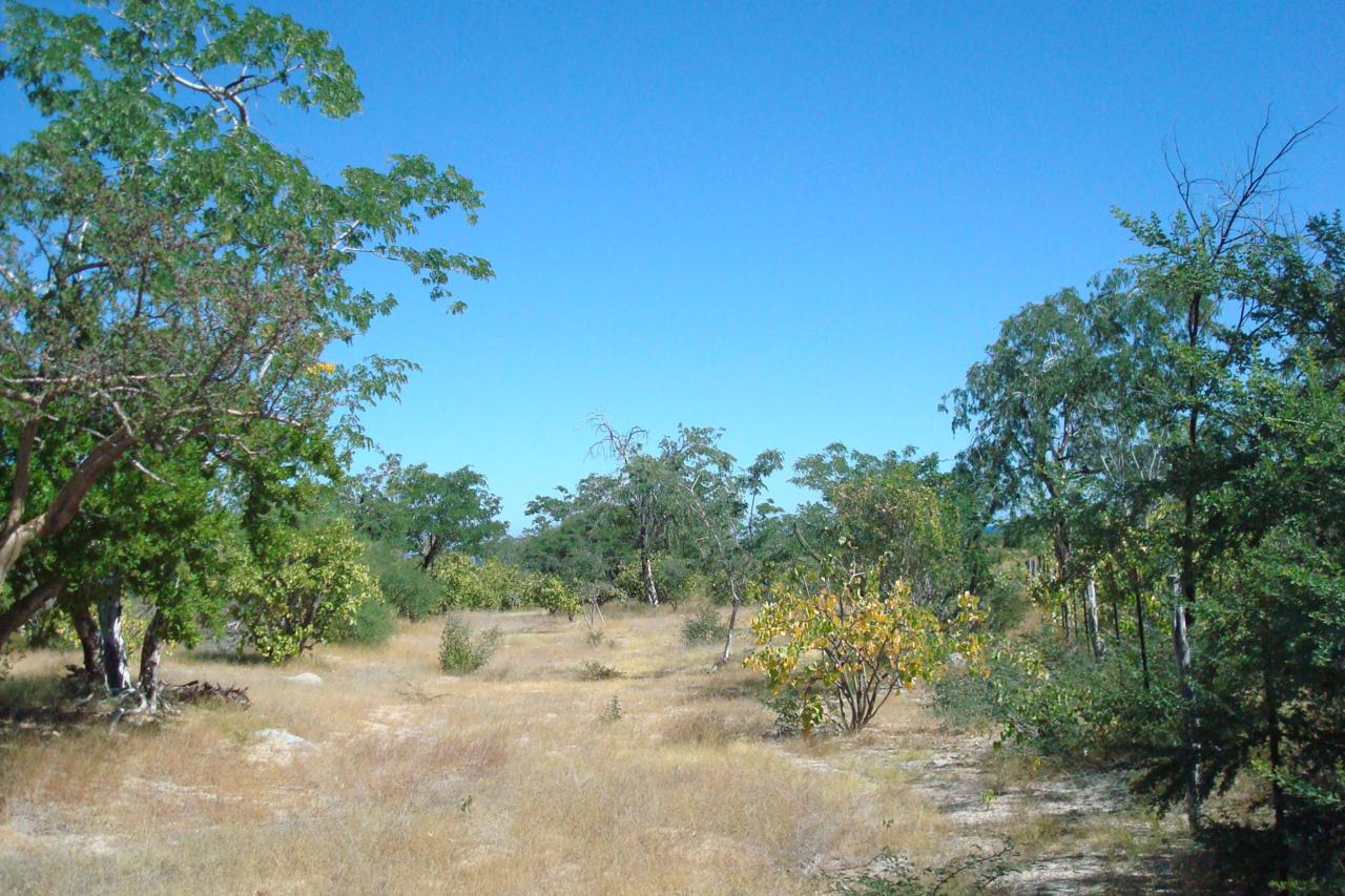 352 Colina Del Sol - Photo 1