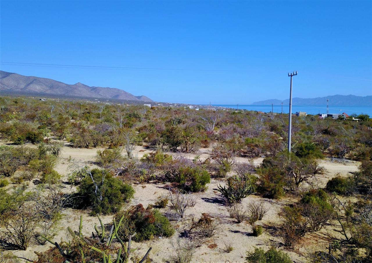 West Of Socorro - Photo 1