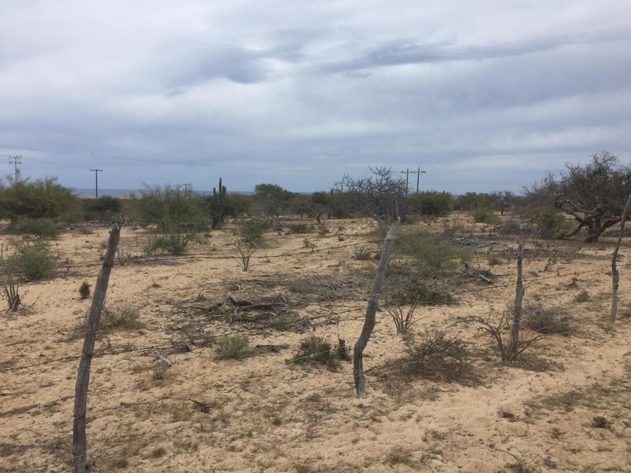 Old Cardonal Road - Photo 1