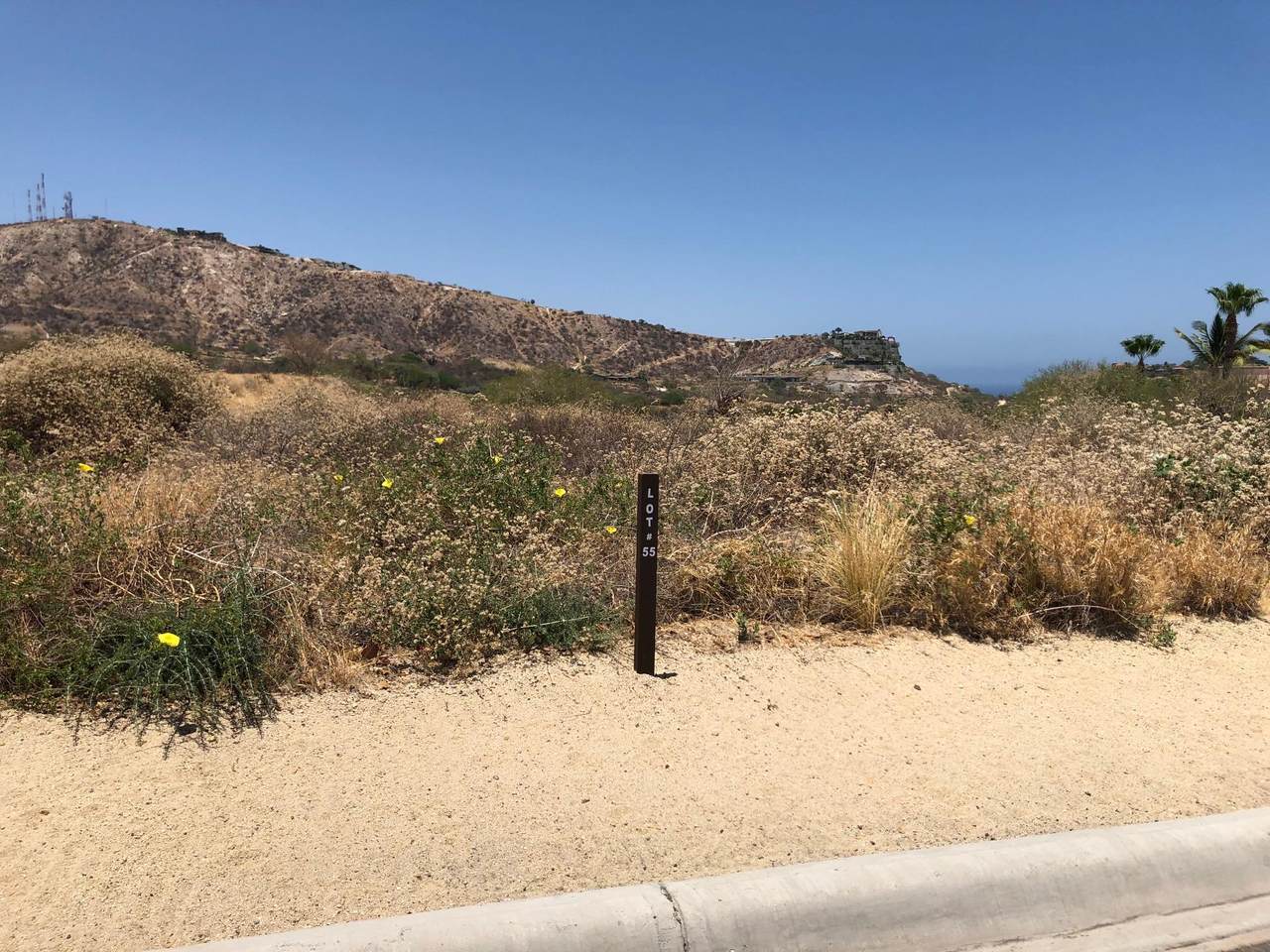 Los Altos - Photo 1
