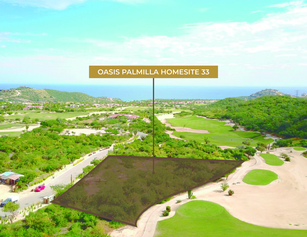 Oasis Palmilla - Photo 1