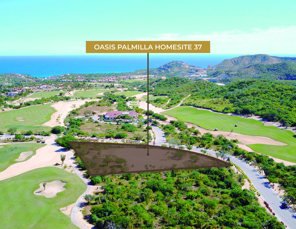 Oasis Palmilla - Photo 1