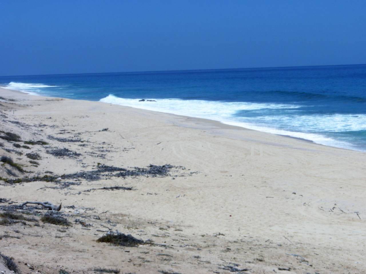 East Cape Beach Road - Photo 1