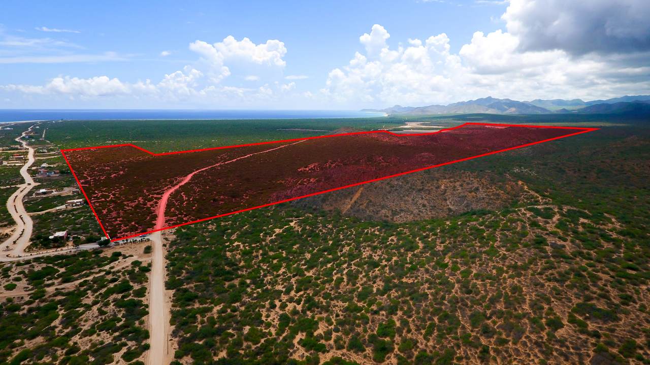 Road To Cabo Pulmo - Photo 1