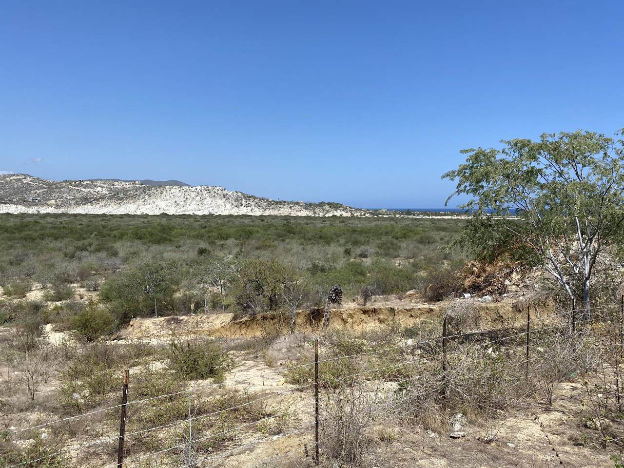 View Lot Los Barriles - Photo 1