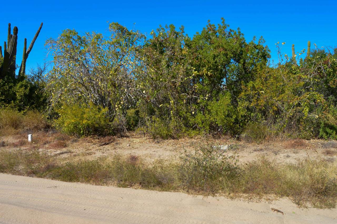 Camino Del Sabueso - Photo 1