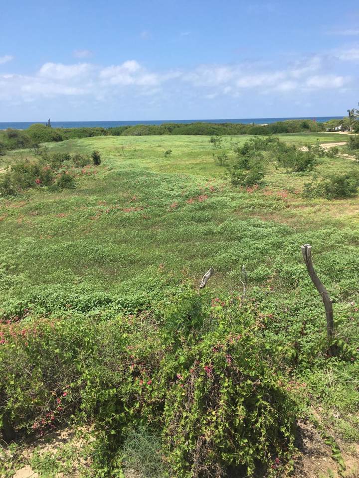 BEACHFRONT Almost 1 Acre Beachfront Lot - Photo 1