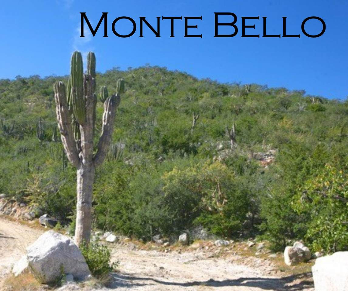 Monte Bello - Photo 1