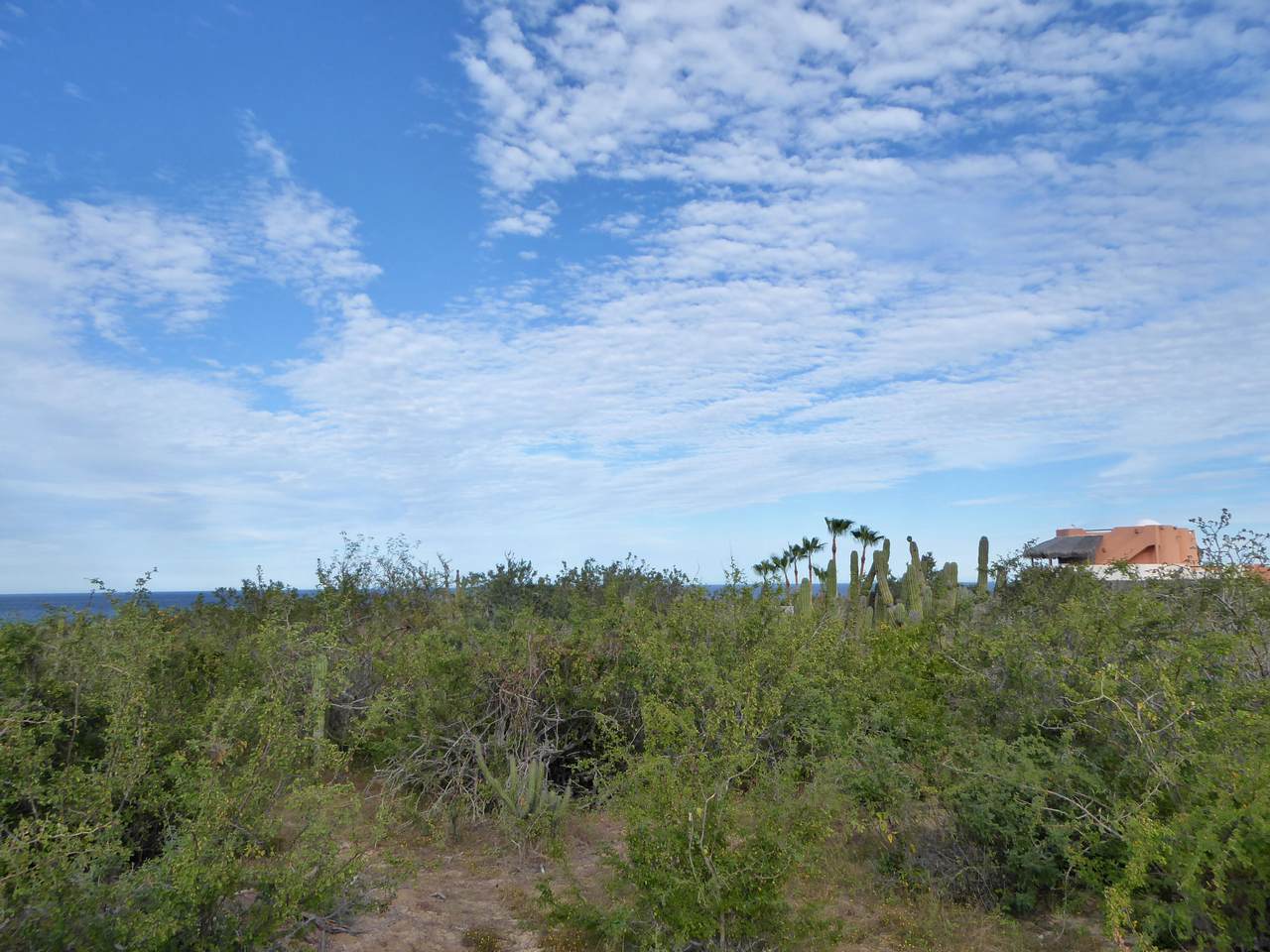 Calle Calavera - Photo 1