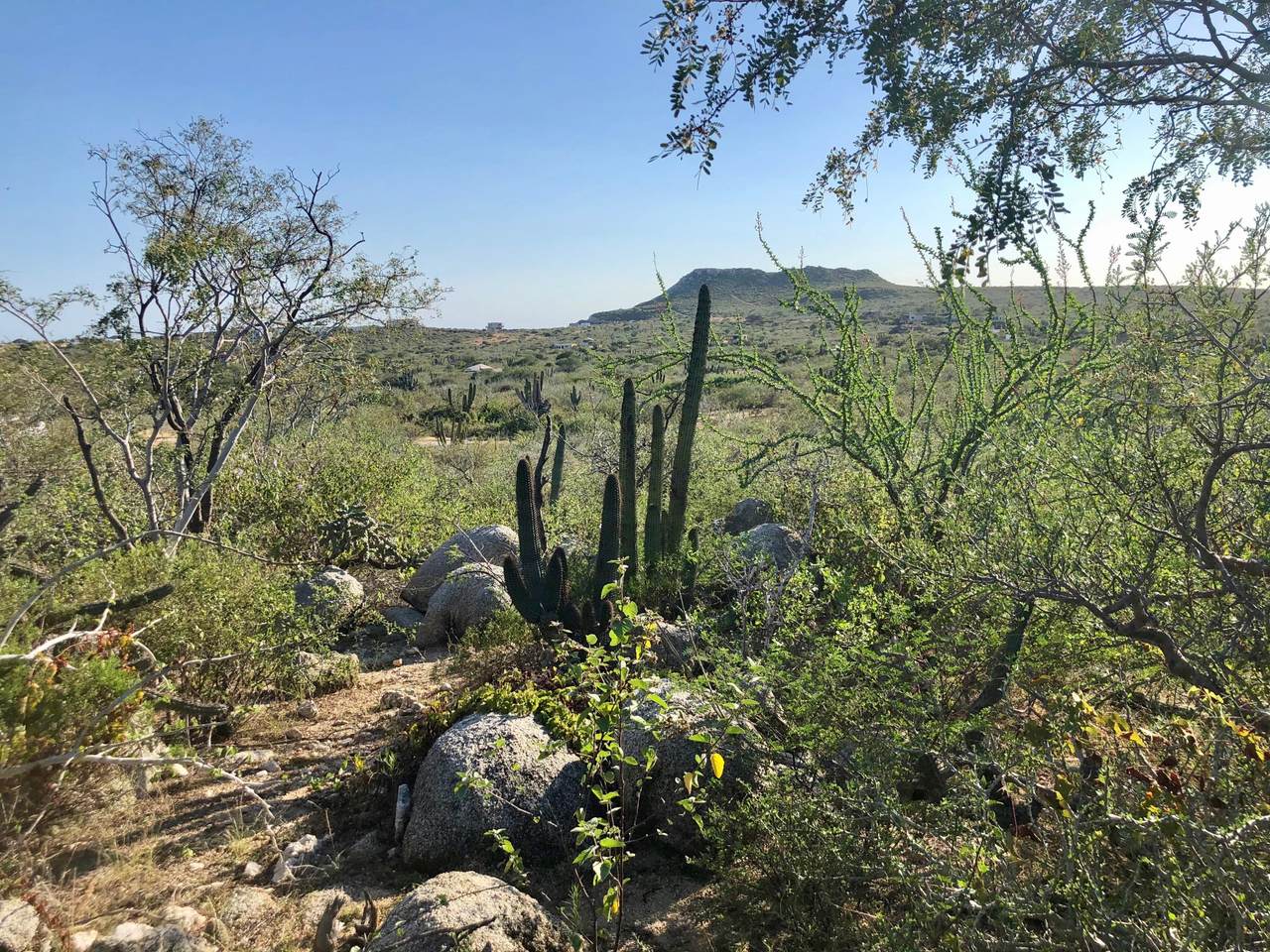 Zacatitos, Mza Xix, Lot 4 - Photo 1