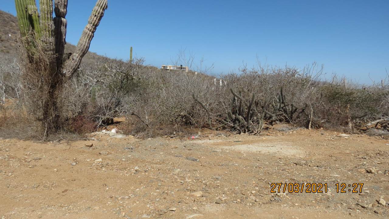 LOTE 2353 Mza 2 - Photo 1
