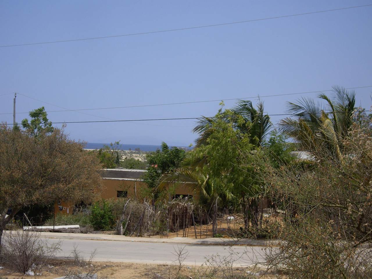 Mar De Cortez - Photo 1