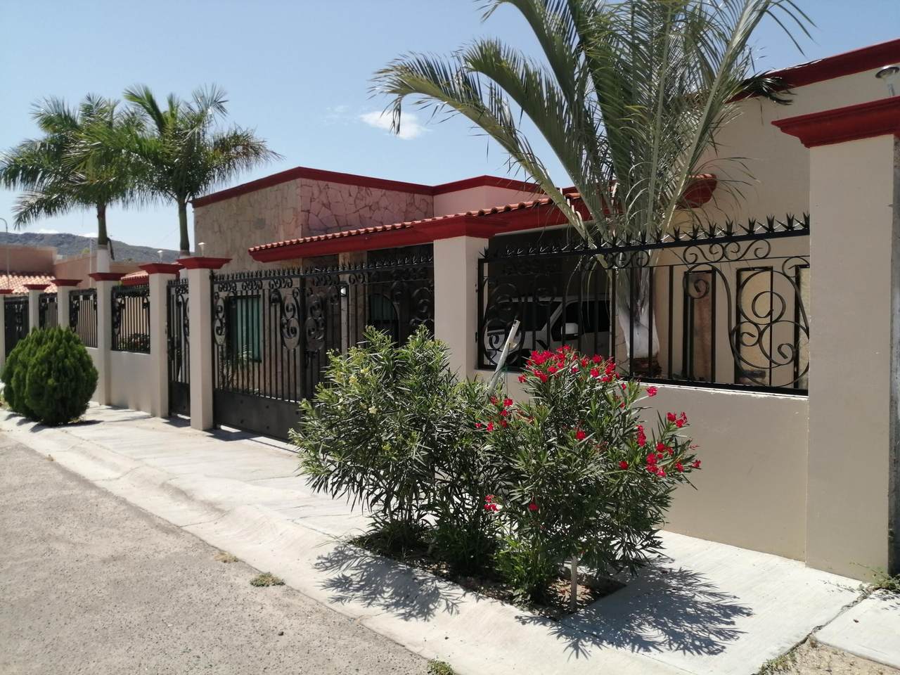 133 Calle Francisco De Ortega - Photo 1