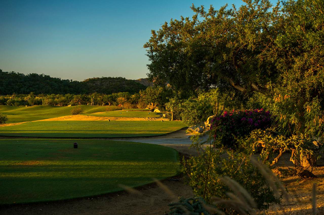Oasis Palmilla - Photo 1