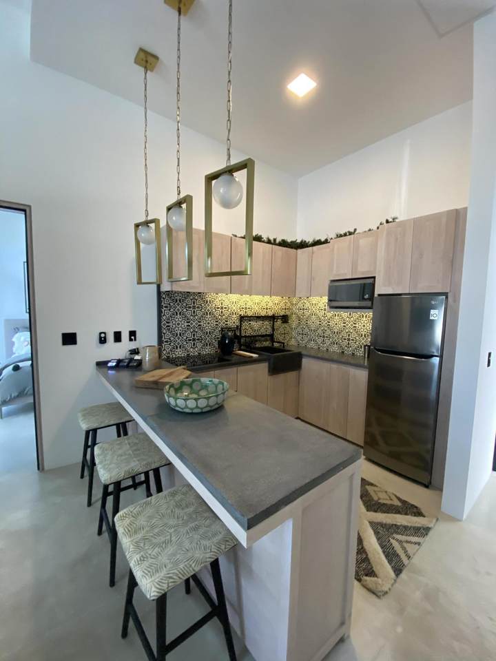 1718 Av. Centenario Y A. Obregon - Photo 1