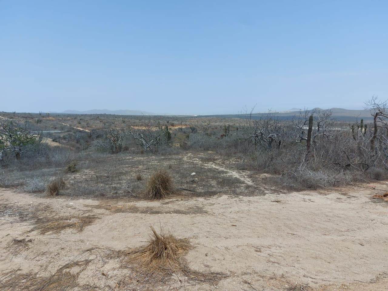20 Mount Zibar - Photo 1