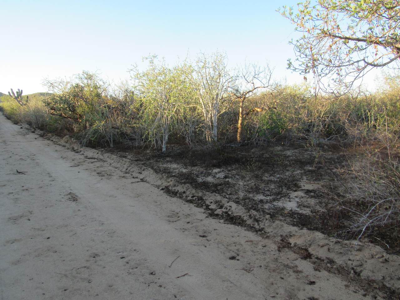 Lot 72-D - Photo 1