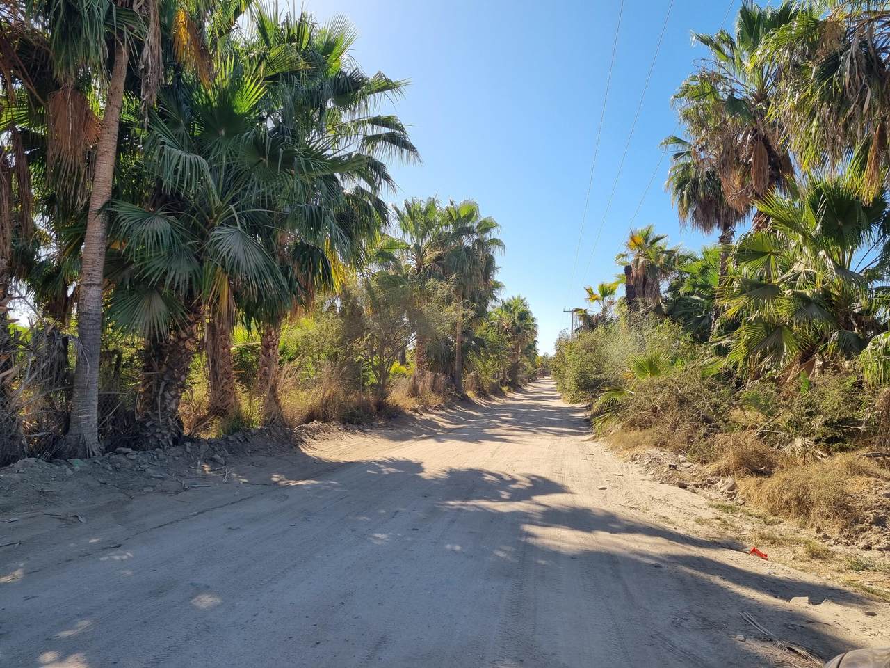 22 Paseo De Las Flores - Photo 1