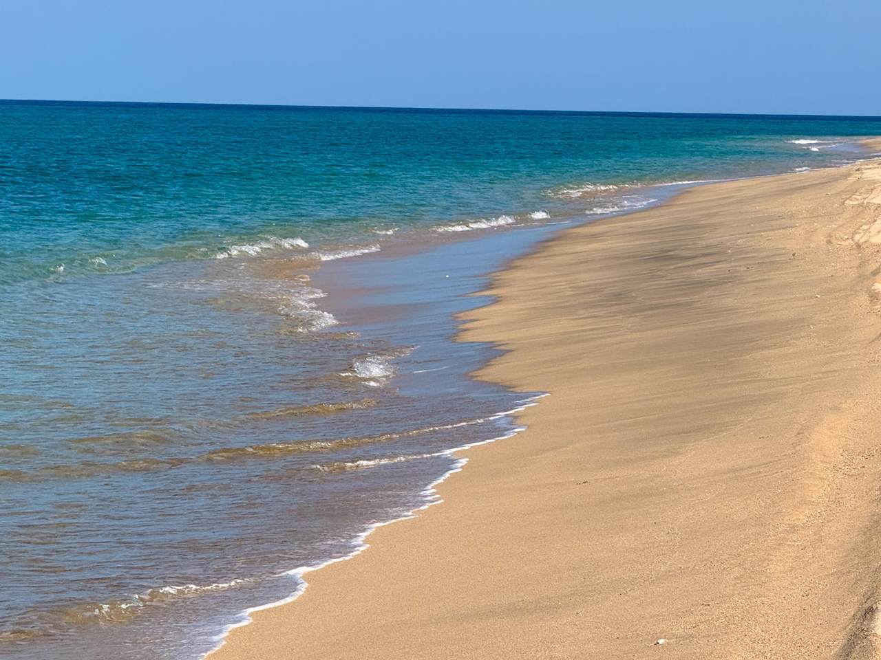 https://bt-photos.global.ssl.fastly.net/bajacali/1280_boomver_1_24-4441-2.jpg