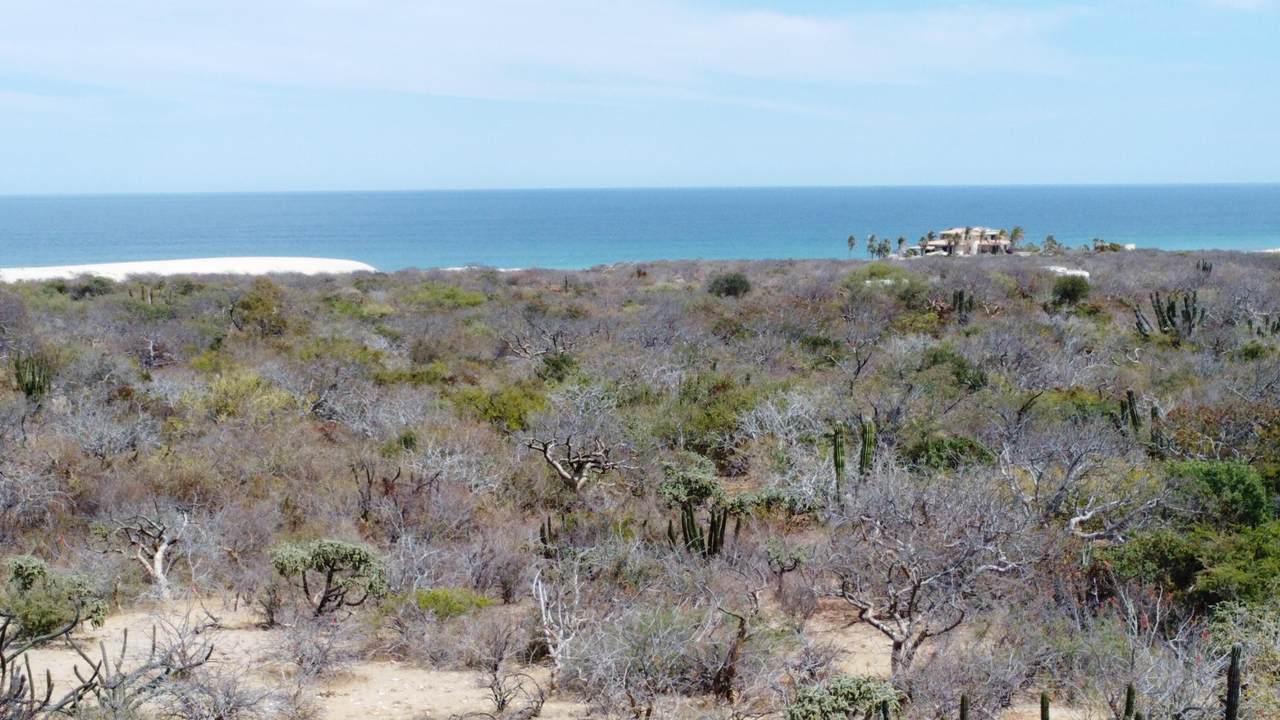 https://bt-photos.global.ssl.fastly.net/bajacali/1280_boomver_2_24-4660-2.jpg