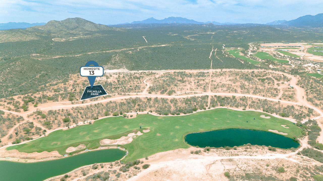  Palmilla Park - Photo 1