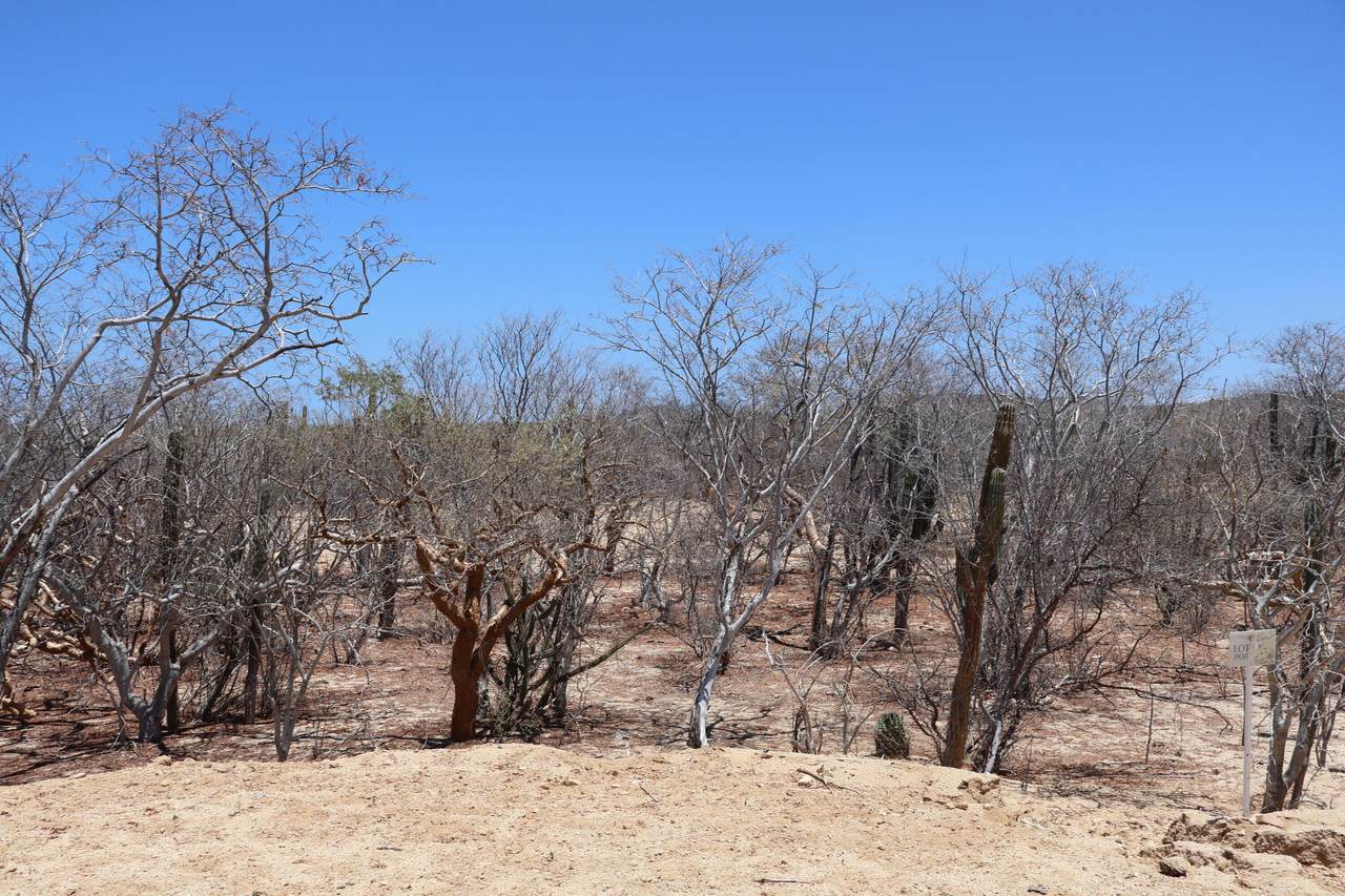  Address Not Published - Photo 1