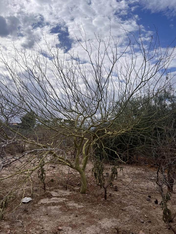 Calle 11 Address Not Published - Photo 1