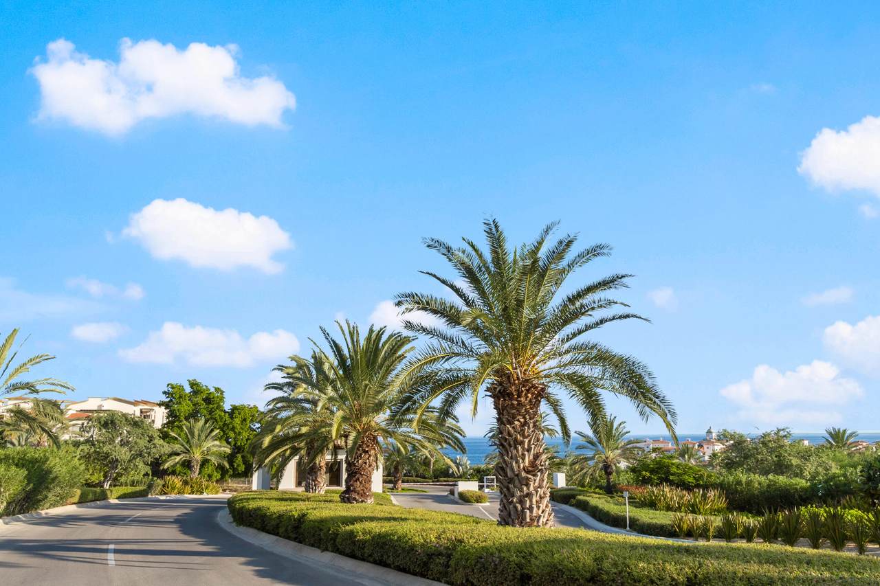  Puerta Del Sol - Photo 1