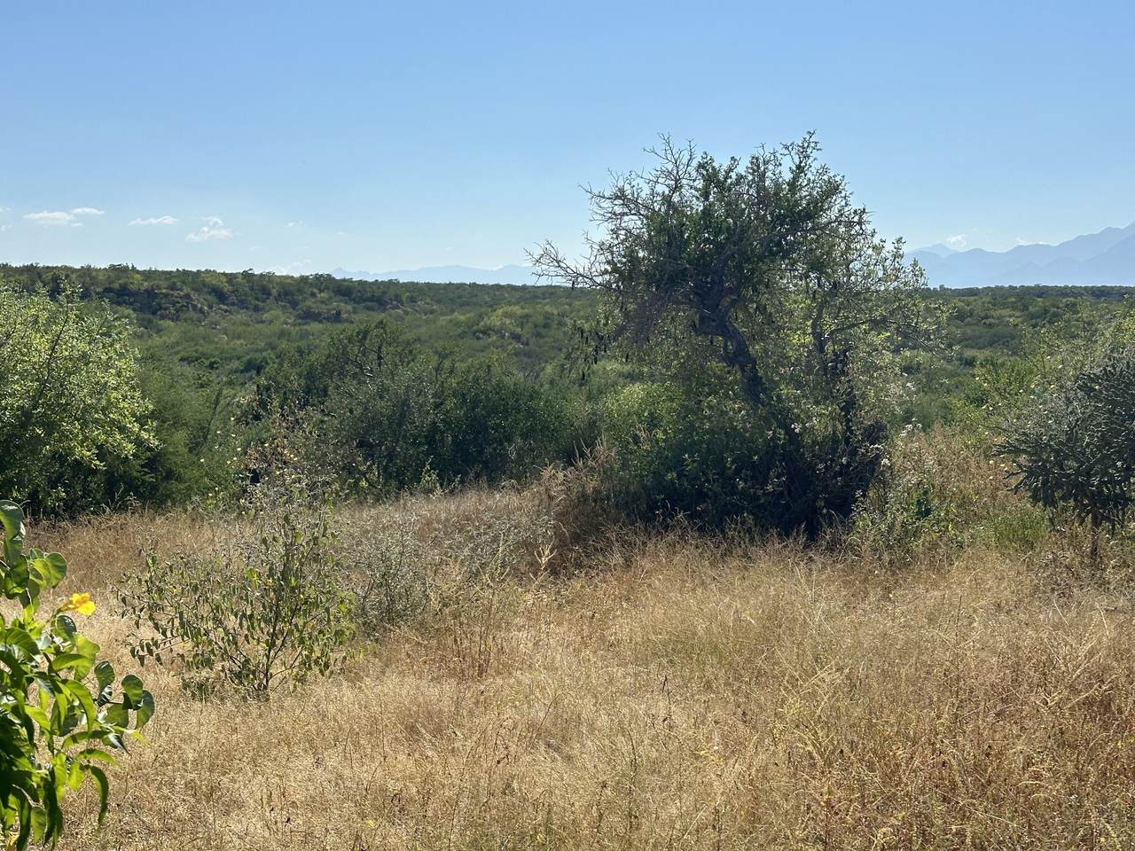 4 De La Manzana - Photo 1