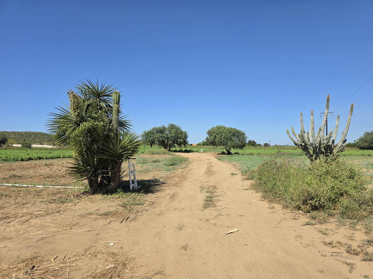 https://bt-photos.global.ssl.fastly.net/bajacali/1280_boomver_1_25-5269-2.jpg