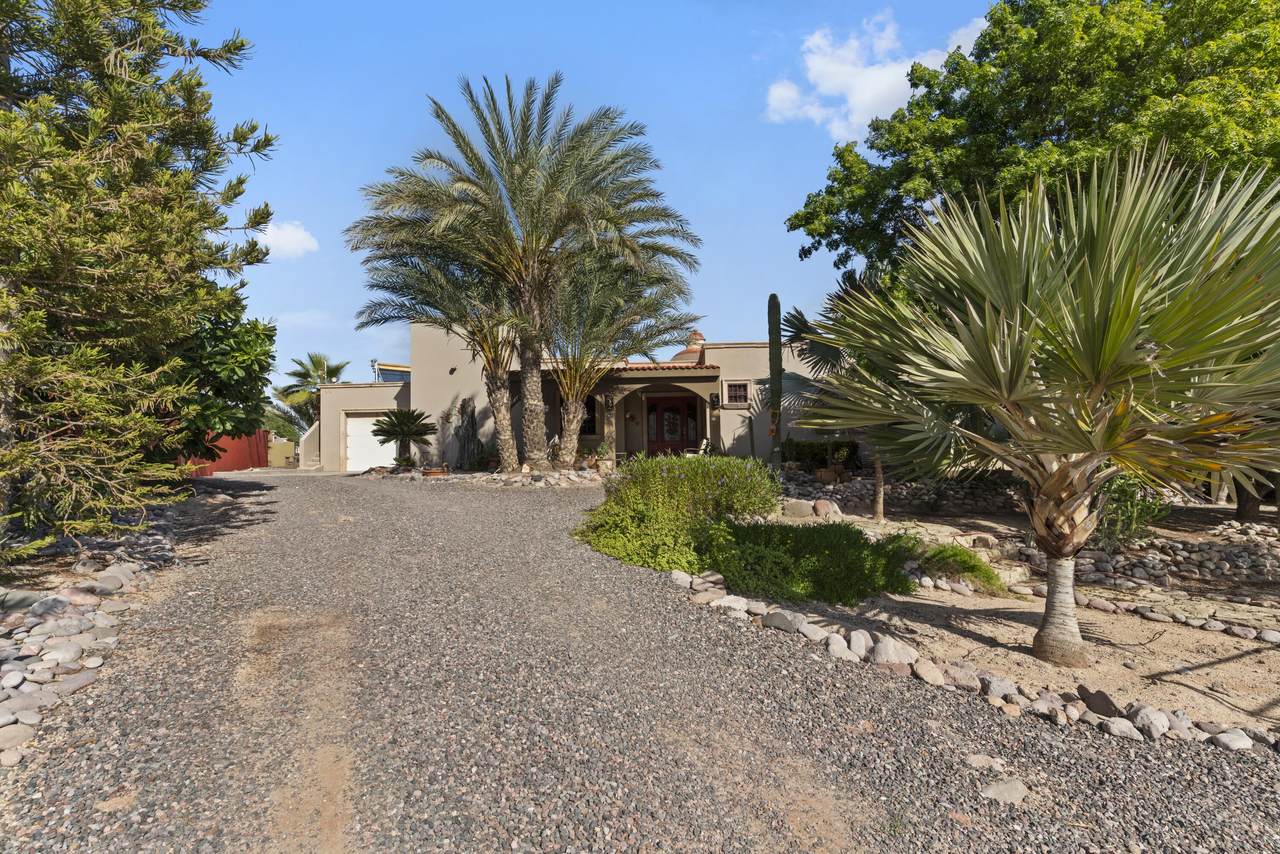 529 Torote - Photo 1