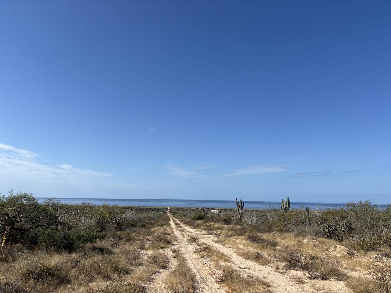  Camino De La Tintorera - Photo 1