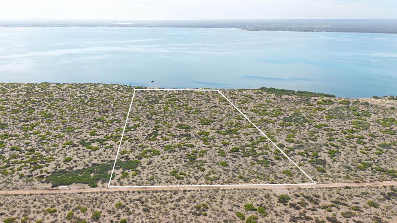  El Mogote - Photo 1
