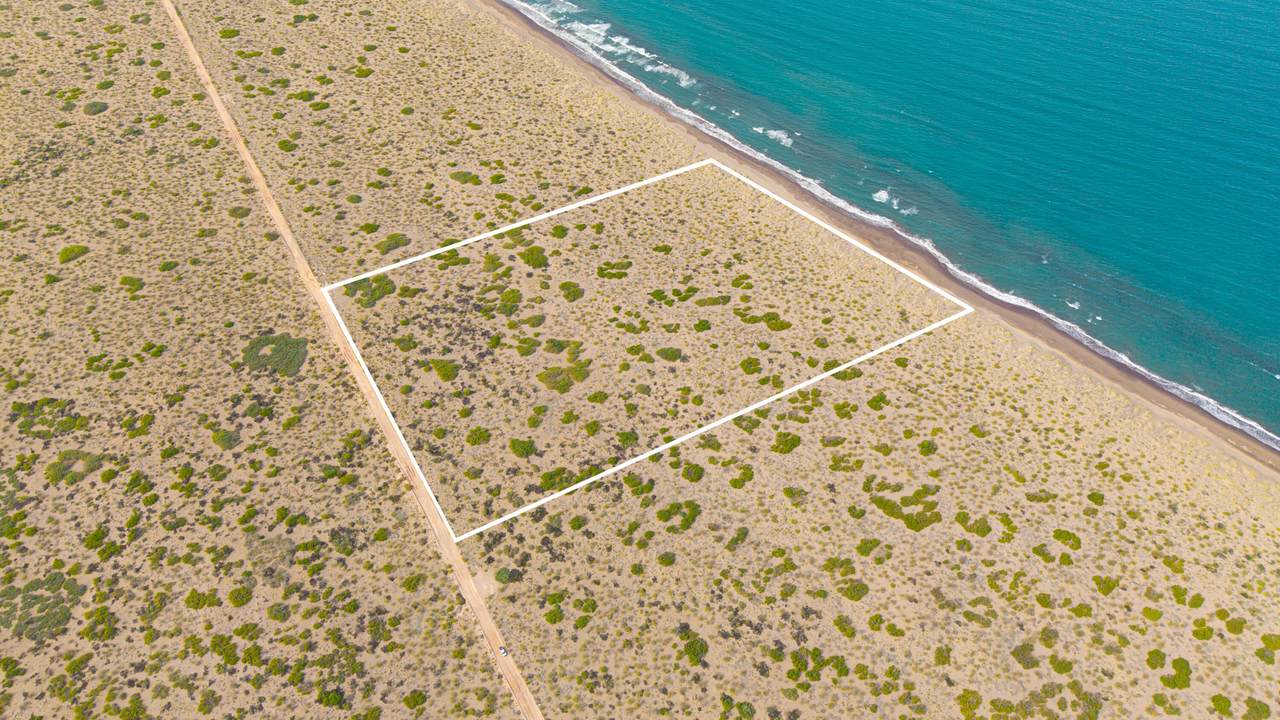 https://bt-photos.global.ssl.fastly.net/bajacali/1280_boomver_1_26-178-2.jpg