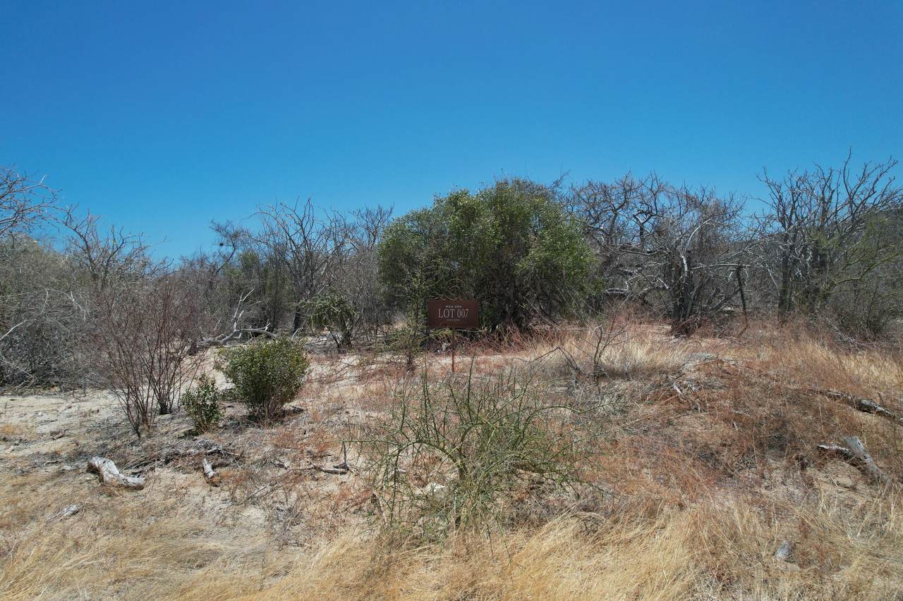  Colina De Las Cueva - Photo 1