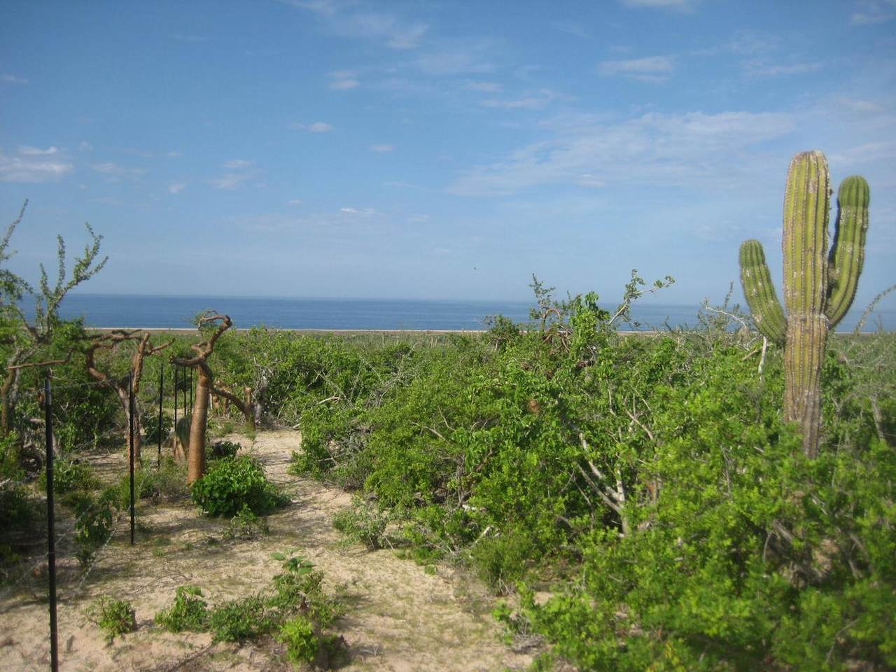 https://bt-photos.global.ssl.fastly.net/bajacali/1280_boomver_1_26-2607-2.jpg