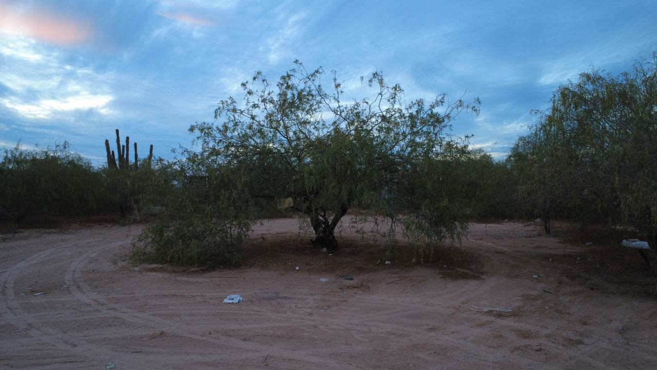 https://bt-photos.global.ssl.fastly.net/bajacali/1280_boomver_1_26-2681-2.jpg