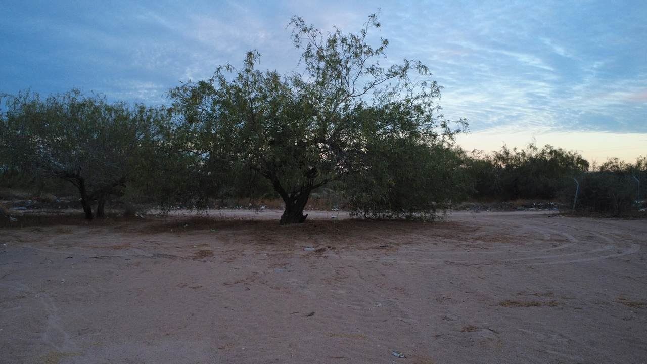 https://bt-photos.global.ssl.fastly.net/bajacali/1280_boomver_1_26-2681-2.jpg