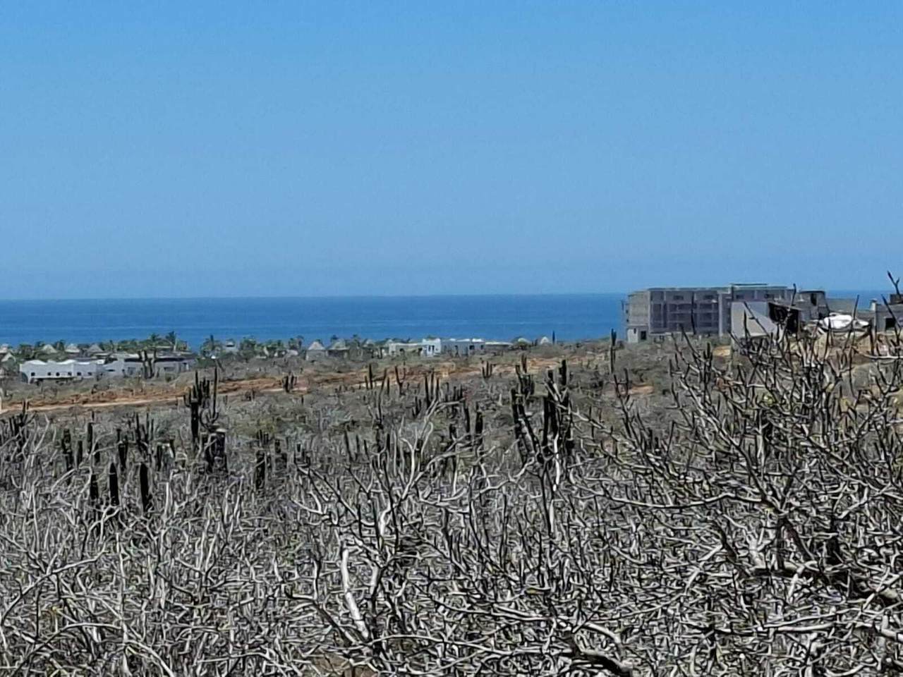 https://bt-photos.global.ssl.fastly.net/bajacali/1280_boomver_1_26-2685-2.jpg