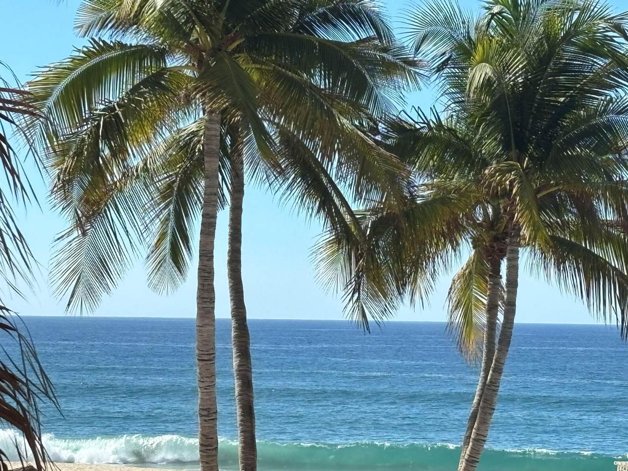 https://bt-photos.global.ssl.fastly.net/bajacali/1280_boomver_1_26-2939-2.jpg
