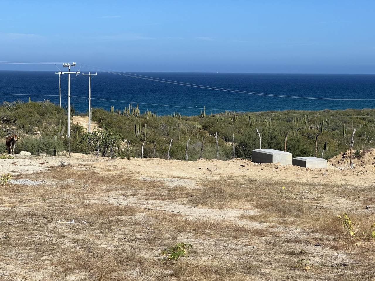  Address Not Published - Photo 1