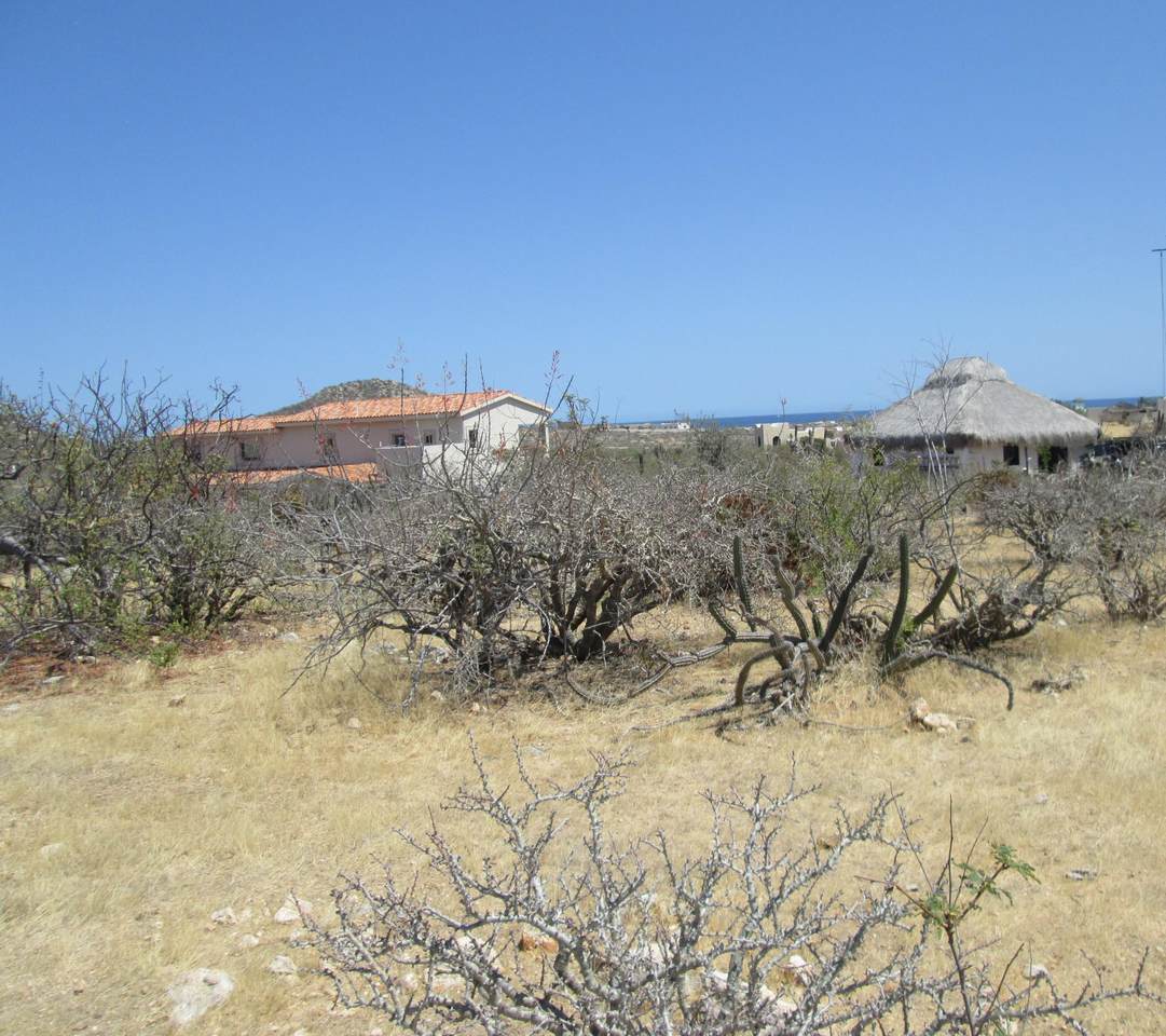 https://bt-photos.global.ssl.fastly.net/bajacali/1280_boomver_1_26-3290-2.jpg